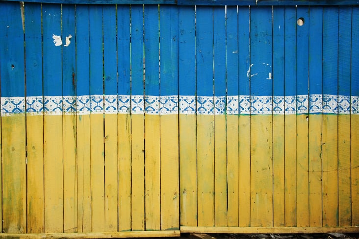 tina-hartung-blue-yellow-fence-age-of-freedom-1